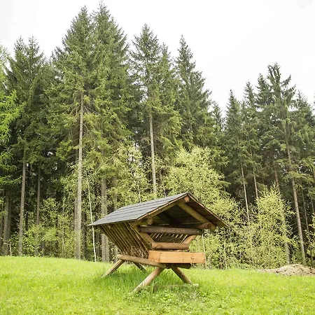 Chalet Harrachov Гаррахов