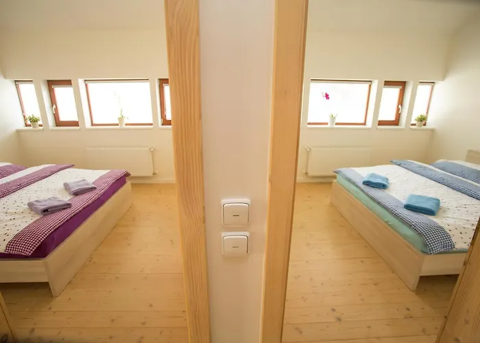 Domek alpejski Chalet Harrachov