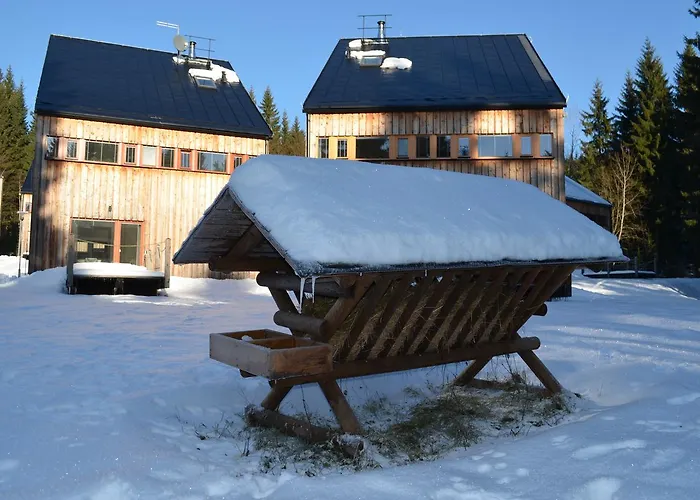 Domek alpejski Chalet Harrachov